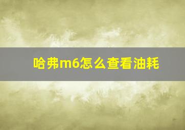 哈弗m6怎么查看油耗