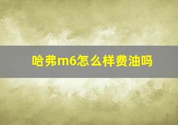 哈弗m6怎么样费油吗