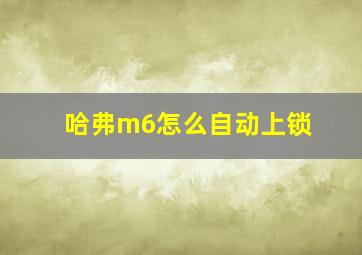 哈弗m6怎么自动上锁