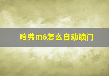 哈弗m6怎么自动锁门