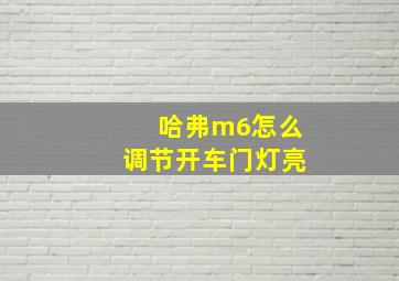 哈弗m6怎么调节开车门灯亮