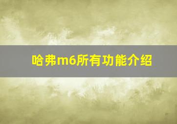 哈弗m6所有功能介绍