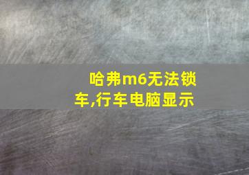 哈弗m6无法锁车,行车电脑显示