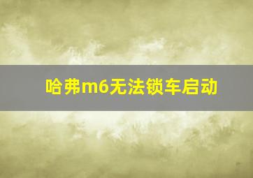 哈弗m6无法锁车启动