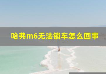 哈弗m6无法锁车怎么回事