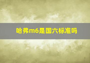 哈弗m6是国六标准吗