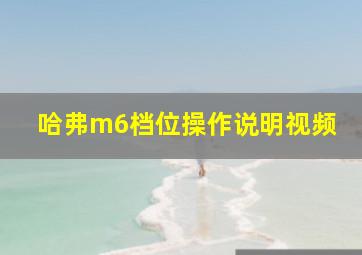 哈弗m6档位操作说明视频