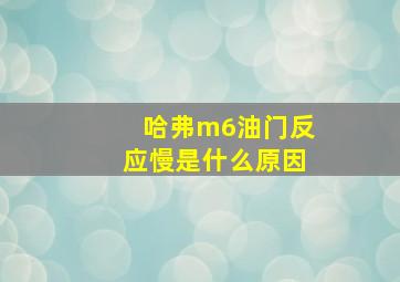 哈弗m6油门反应慢是什么原因