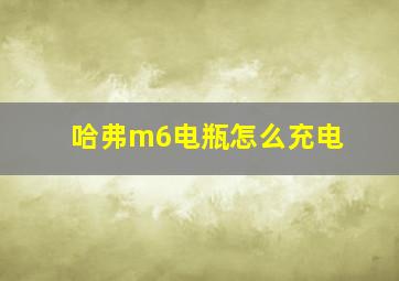 哈弗m6电瓶怎么充电