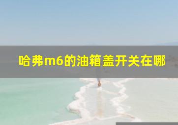 哈弗m6的油箱盖开关在哪