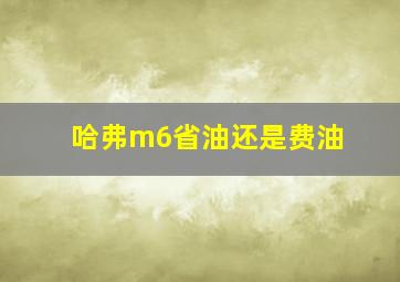 哈弗m6省油还是费油