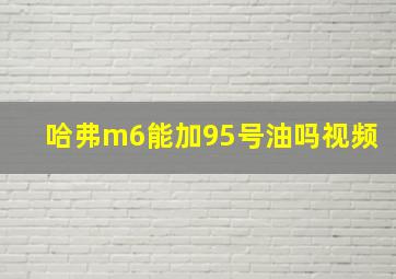 哈弗m6能加95号油吗视频