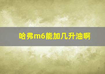 哈弗m6能加几升油啊