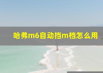 哈弗m6自动挡m档怎么用