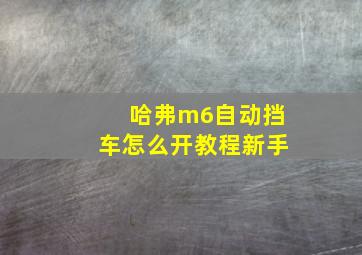 哈弗m6自动挡车怎么开教程新手