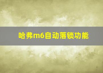 哈弗m6自动落锁功能