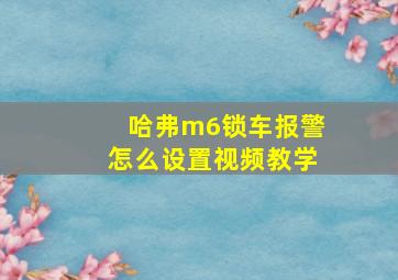 哈弗m6锁车报警怎么设置视频教学