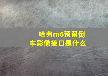 哈弗m6预留倒车影像接口是什么