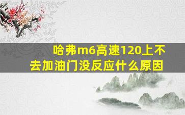 哈弗m6高速120上不去加油门没反应什么原因