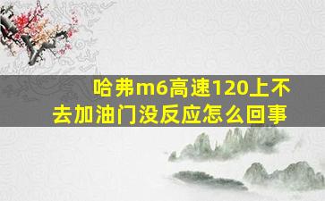 哈弗m6高速120上不去加油门没反应怎么回事