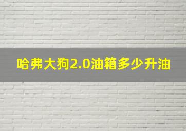 哈弗大狗2.0油箱多少升油