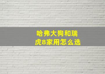 哈弗大狗和瑞虎8家用怎么选