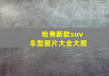 哈弗新款suv车型图片大全大图