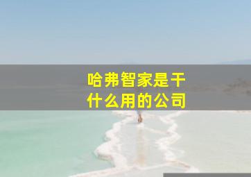 哈弗智家是干什么用的公司