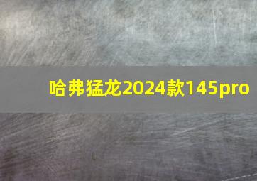 哈弗猛龙2024款145pro