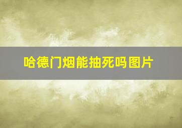 哈德门烟能抽死吗图片