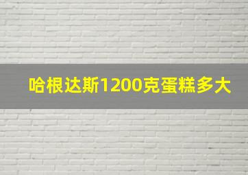 哈根达斯1200克蛋糕多大