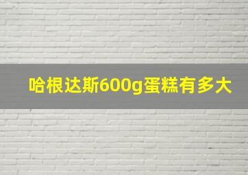 哈根达斯600g蛋糕有多大