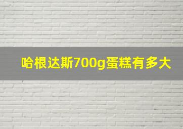 哈根达斯700g蛋糕有多大