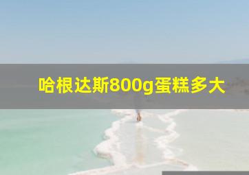 哈根达斯800g蛋糕多大