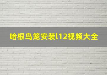 哈根鸟笼安装l12视频大全