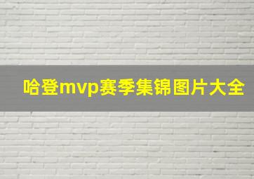 哈登mvp赛季集锦图片大全