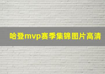 哈登mvp赛季集锦图片高清