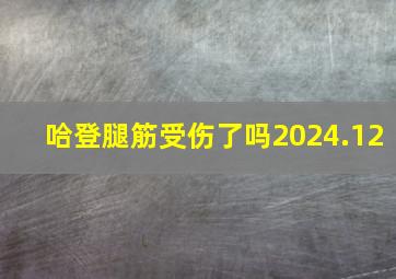 哈登腿筋受伤了吗2024.12