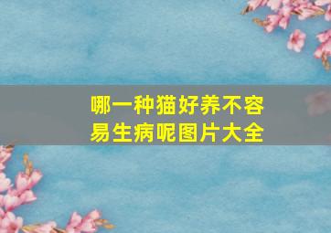 哪一种猫好养不容易生病呢图片大全