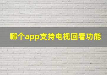 哪个app支持电视回看功能