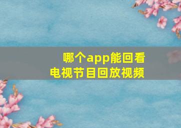 哪个app能回看电视节目回放视频