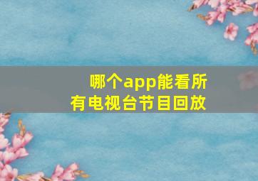 哪个app能看所有电视台节目回放