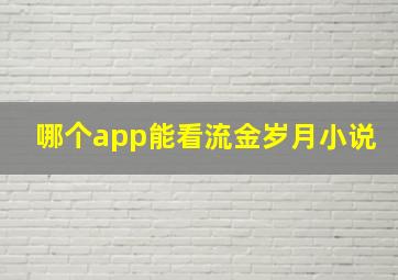 哪个app能看流金岁月小说