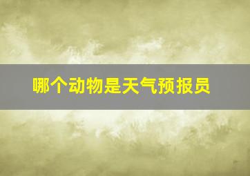 哪个动物是天气预报员