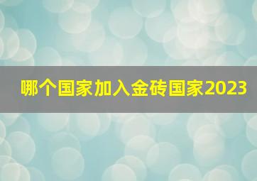 哪个国家加入金砖国家2023