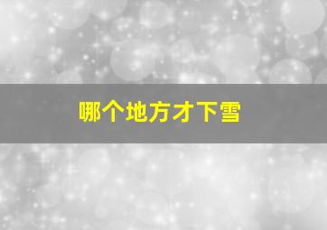 哪个地方才下雪