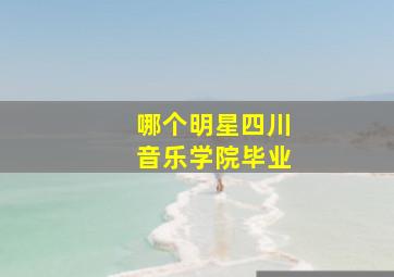 哪个明星四川音乐学院毕业