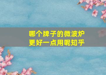 哪个牌子的微波炉更好一点用呢知乎