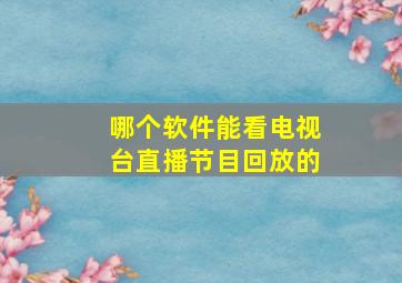 哪个软件能看电视台直播节目回放的