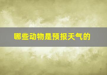 哪些动物是预报天气的